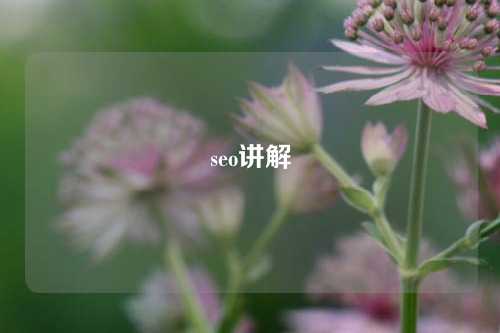 seo讲解