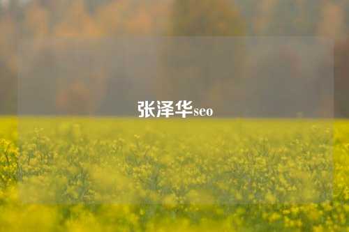 张泽华seo