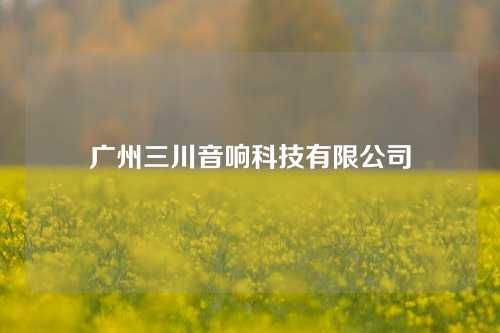 广州三川音响科技有限公司