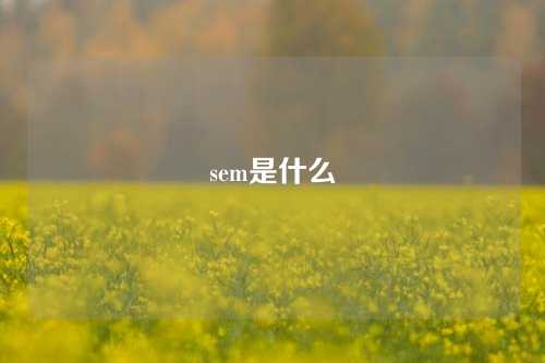 sem是什么