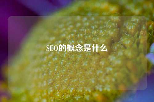 SEO的概念是什么