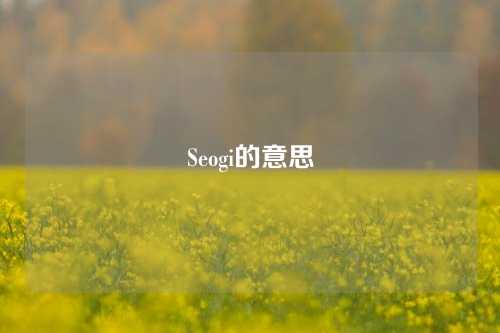 Seogi的意思