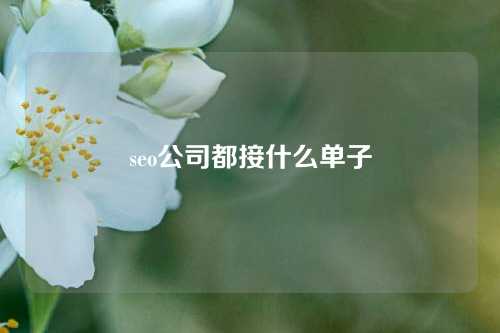 seo公司都接什么单子