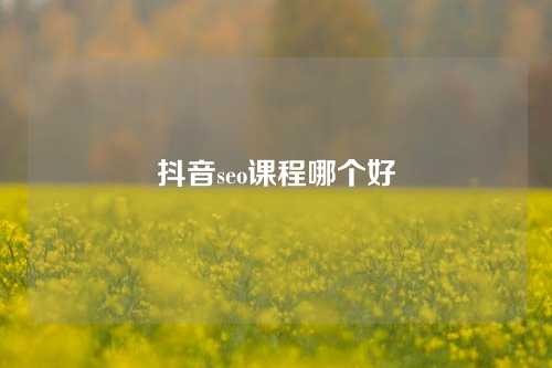 抖音seo课程哪个好