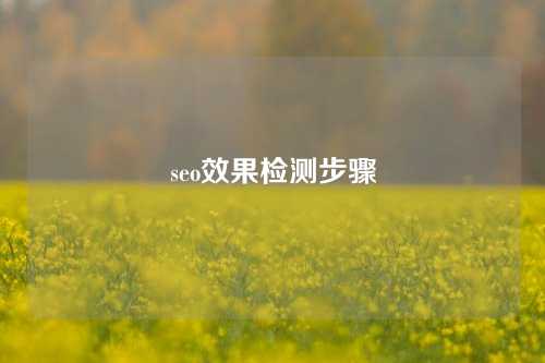 seo效果检测步骤