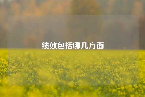 绩效包括哪几方面