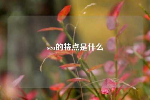 seo的特点是什么