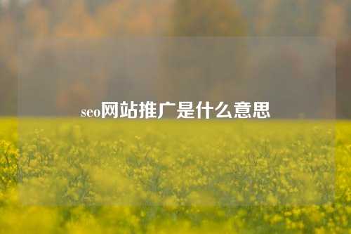 seo网站推广是什么意思