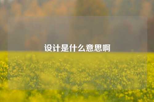 设计是什么意思啊