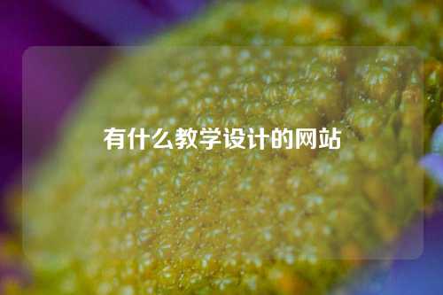 有什么教学设计的网站