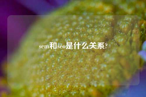 sem和seo是什么关系?