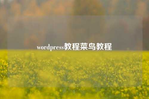 wordpress教程菜鸟教程