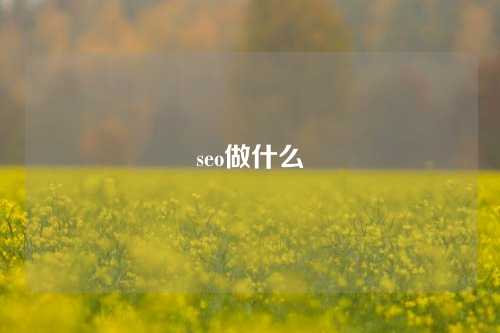 seo做什么