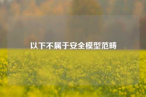 以下不属于安全模型范畴