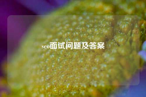 seo面试问题及答案