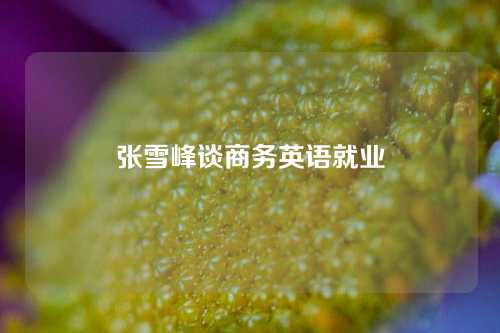 张雪峰谈商务英语就业