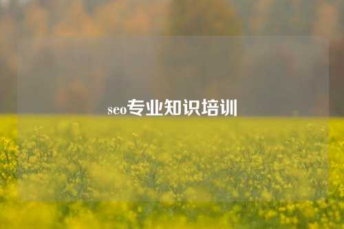 seo专业知识培训