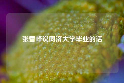 张雪峰说同济大学毕业的话