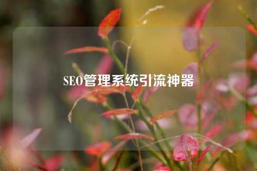 SEO管理系统引流神器