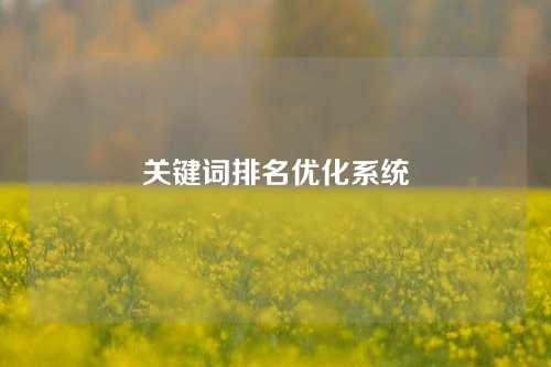 关键词排名优化系统