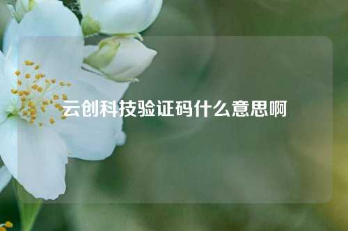 云创科技验证码什么意思啊