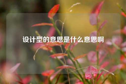 设计型的意思是什么意思啊