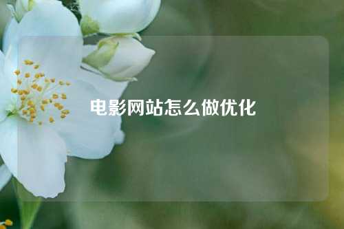 电影网站怎么做优化