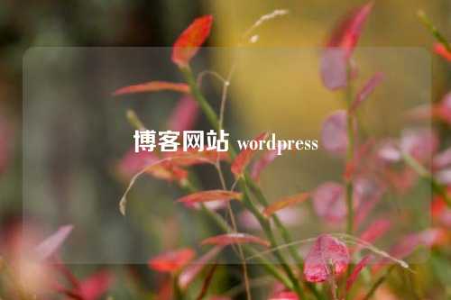 博客网站 wordpress