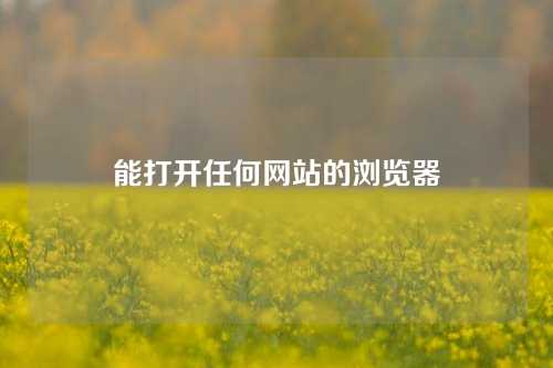 能打开任何网站的浏览器