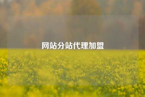 网站分站代理加盟