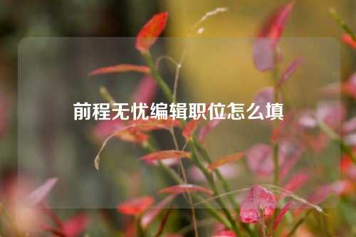 前程无忧编辑职位怎么填