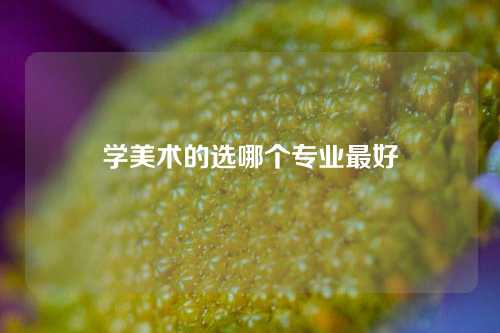 学美术的选哪个专业最好