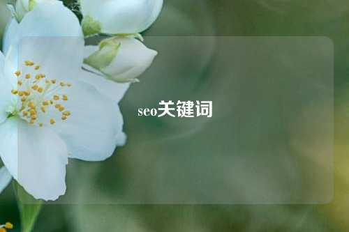 seo关键词