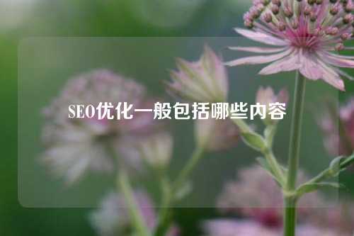 SEO优化一般包括哪些内容