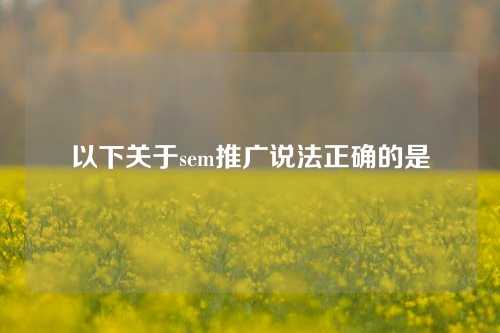 以下关于sem推广说法正确的是