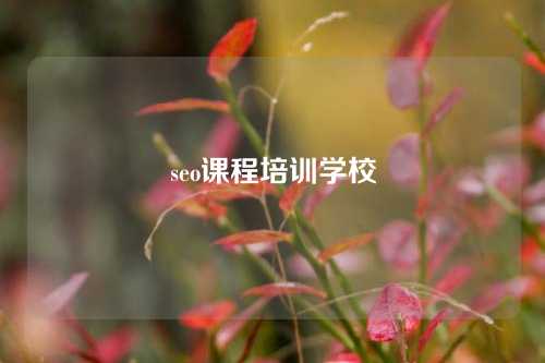 seo课程培训学校