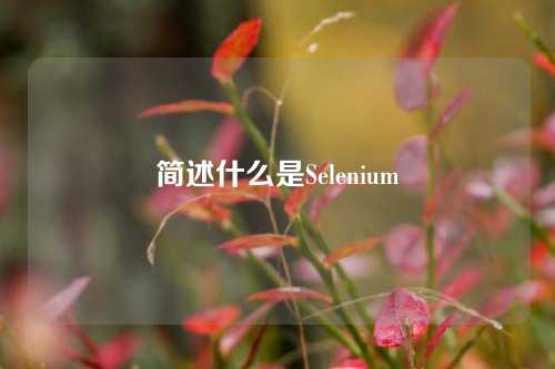 简述什么是Selenium