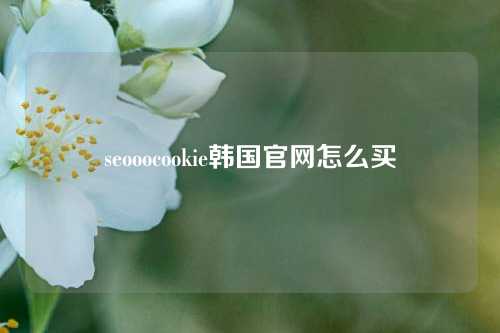 seooocookie韩国官网怎么买