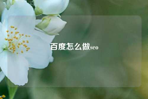 百度怎么做seo