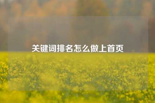 关键词排名怎么做上首页