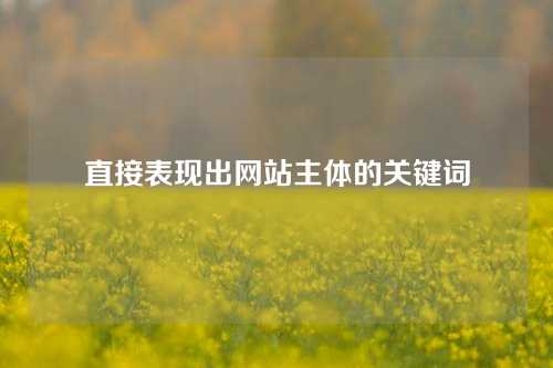 直接表现出网站主体的关键词