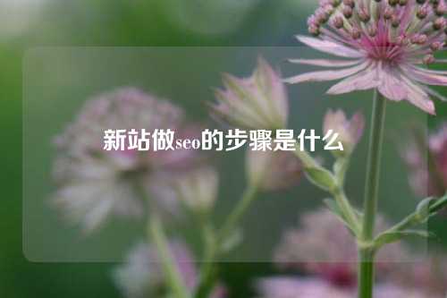 新站做seo的步骤是什么