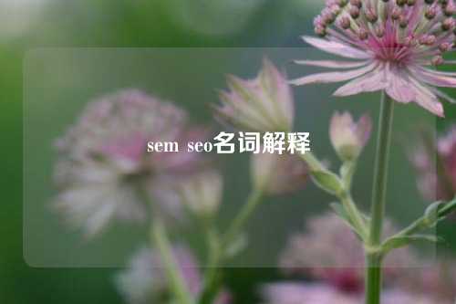 sem seo名词解释