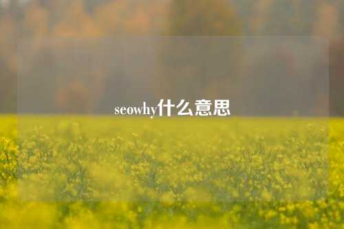 seowhy什么意思