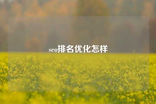 seo排名优化怎样