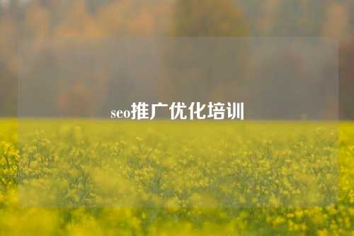 seo推广优化培训