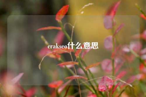 crakseo什么意思