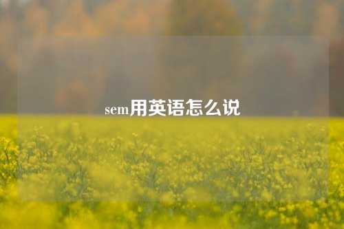 sem用英语怎么说