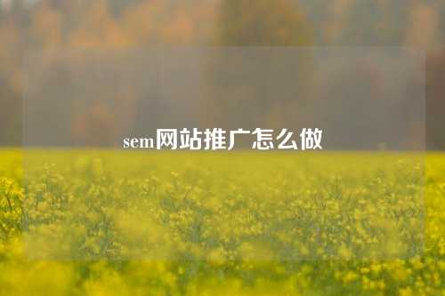 sem网站推广怎么做