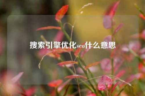 搜索引擎优化seo什么意思